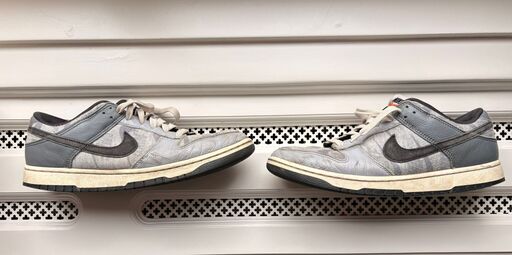 Nike Dunk Low Copy Paste Grey (2022)