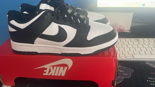 Nike Dunk Low WMNS Next Nature 'Black White Panda'