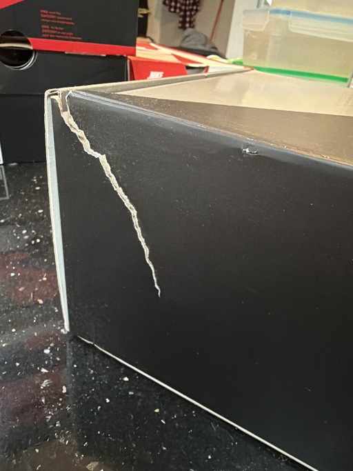 Air Jordan 11 'Jubilee' (2020)