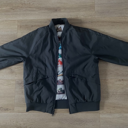 Nike SB Dunk Bomber Jacket Smoke Grey (2021)