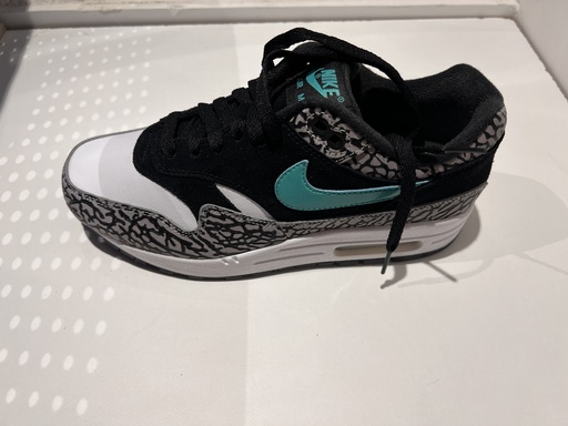 Nike Air Max 1 Atmos Elephant (2017)