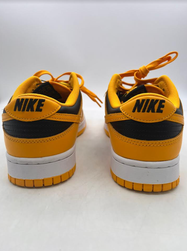 Nike Dunk Low 'Goldenrod' (2021) photo 1