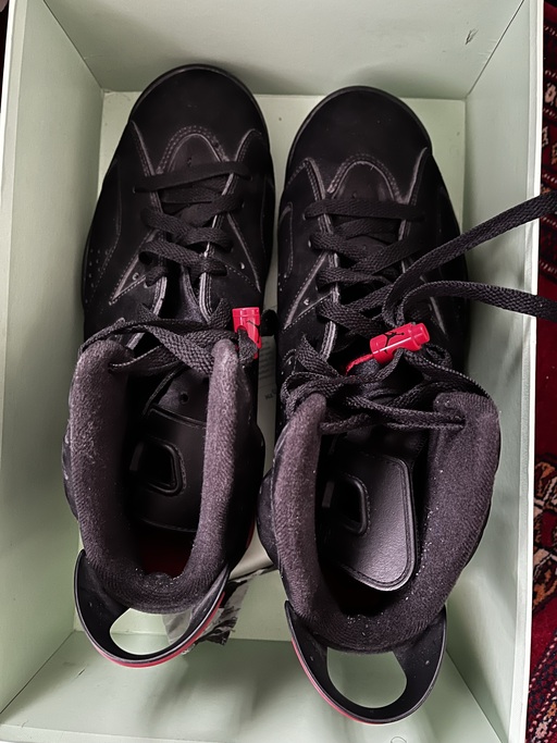 Air Jordan 6 Retro 'Varsity Red' (2010)