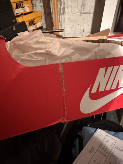 Nike WMNS Dunk Low SE 85 (2022)