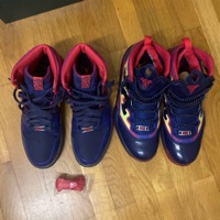Air Jordan Year Of The Snake Pack (2013) photo 3