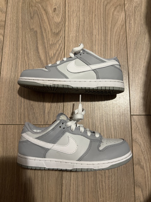 Nike Dunk Low PS Two-Toned Grey (2022)