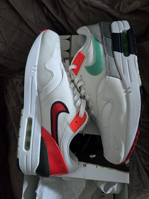 Nike Air Max 1 'EOI' (2021)