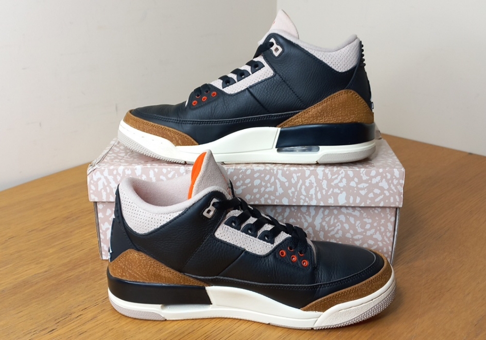 Air Jordan 3 Desert Elephant (2022) photo 2