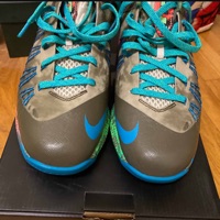 Nike LeBron X Low 'Reptile' photo 10