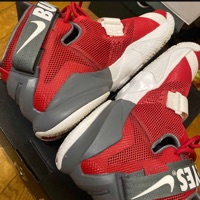 Nike Lebron Soldier 9 PRM Ohio State Buckeyes photo 8
