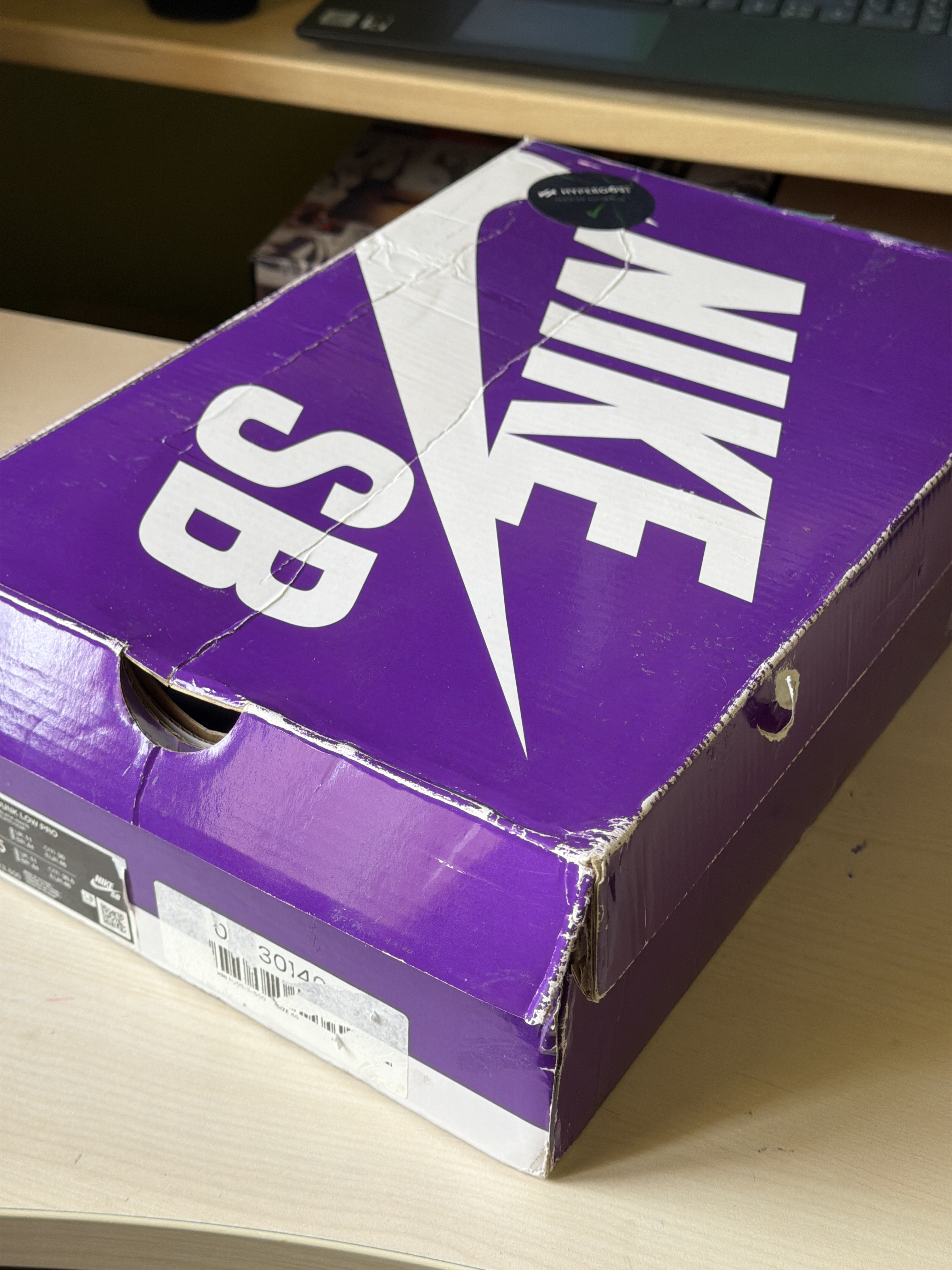 Nike SB x Hayley Wilson Dunk Low Pro 'Court Purple' (2025) photo 7