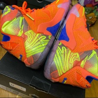 Nike LeBron XII 12 'Six Meridians' (2014) photo 10