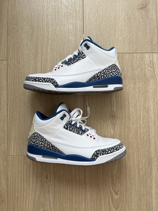 Air Jordan 3 Retro True Blue (2009)