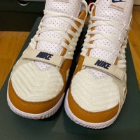 Nike LeBron XVI 16 'Air Trainer' (2019) photo 9