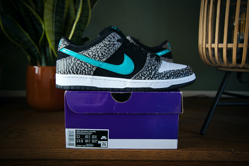 Nike SB x Atmos Dunk Low Pro 'Elephant' (2020)