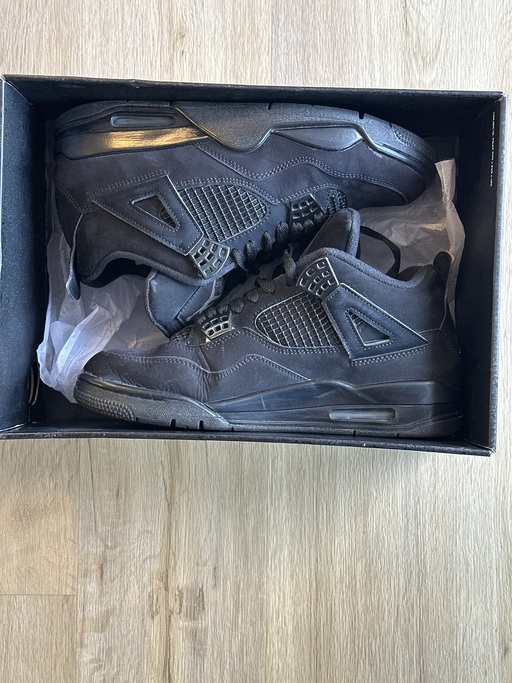 Air Jordan 4 Retro 'Black Cat' (2020)