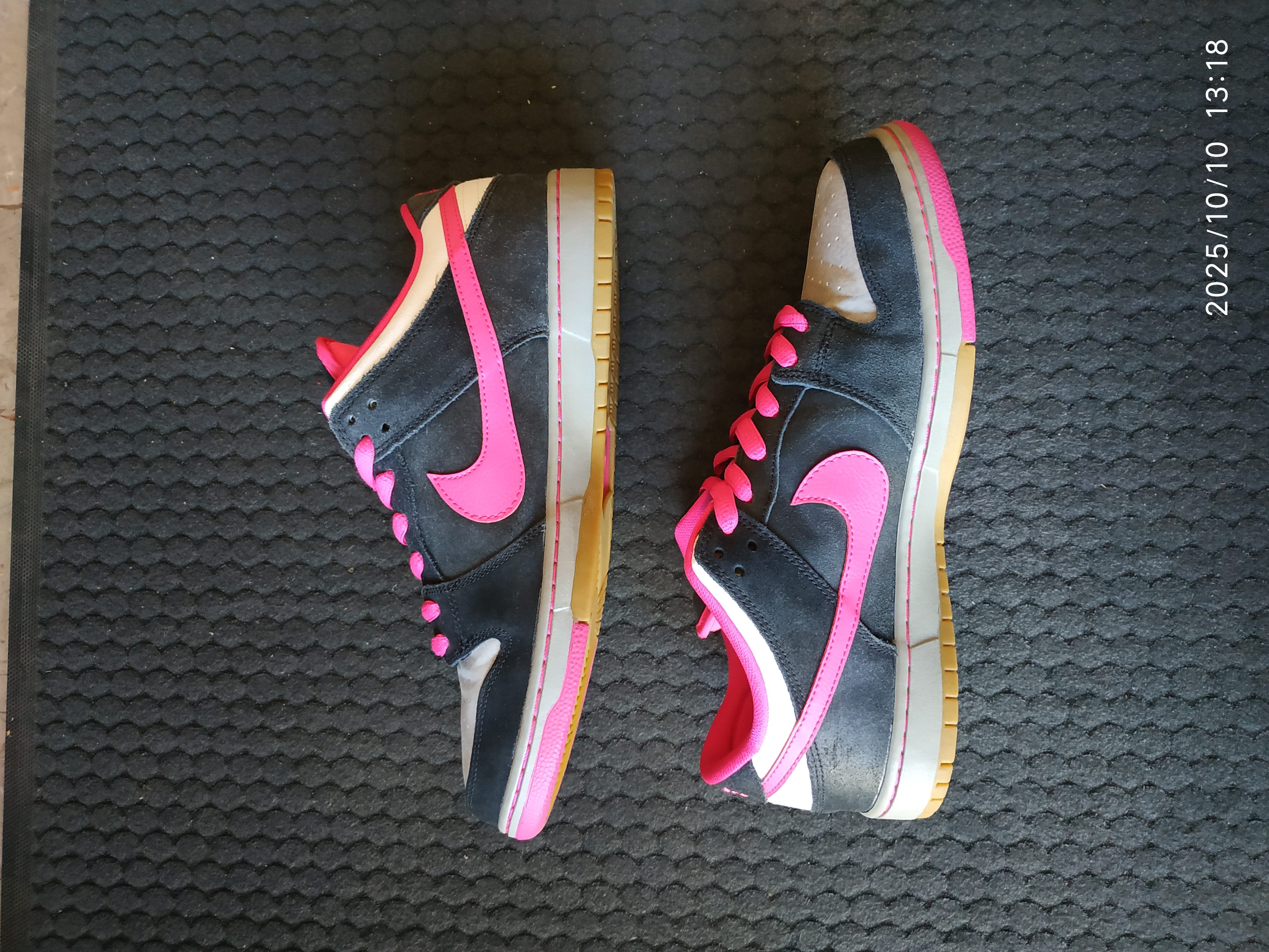 Nike Dunk SB Low Disposable photo 2
