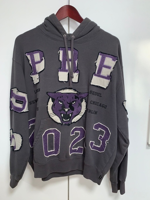 Supreme Washed Panther Hooded Sweatshirt Black (FW23)