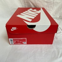 Nike Dunk Low 'Fossil Rose' (2022) photo 7