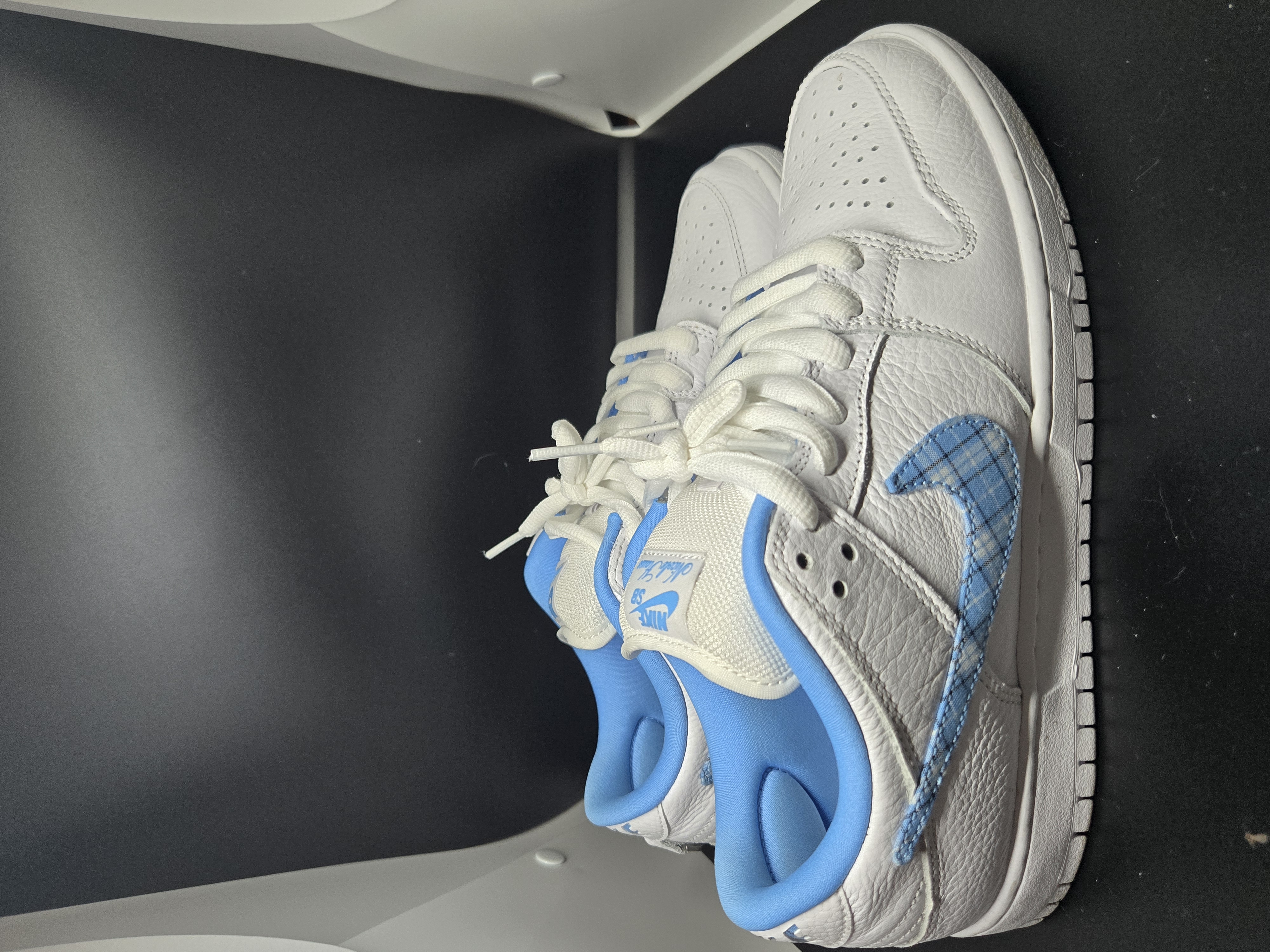 Nike SB x Nicole Hause Dunk Low (2024) photo 2