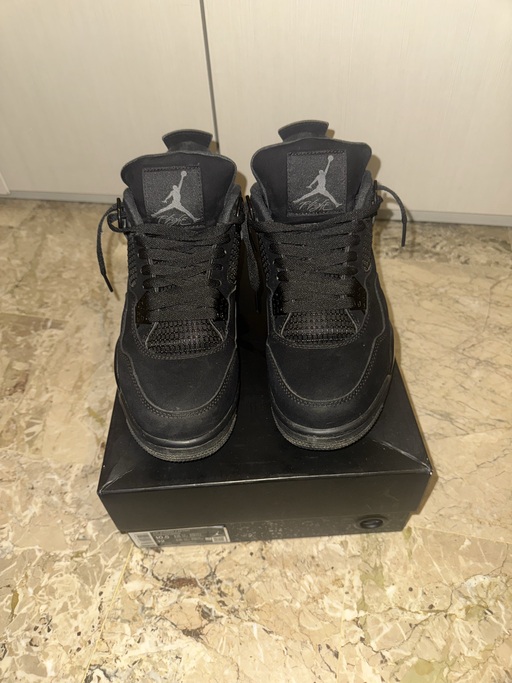 Air Jordan 4 Retro 'Black Cat' (2020)