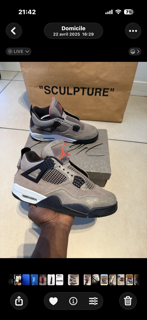 Air Jordan 4 Retro 'Taupe Haze' (2021)