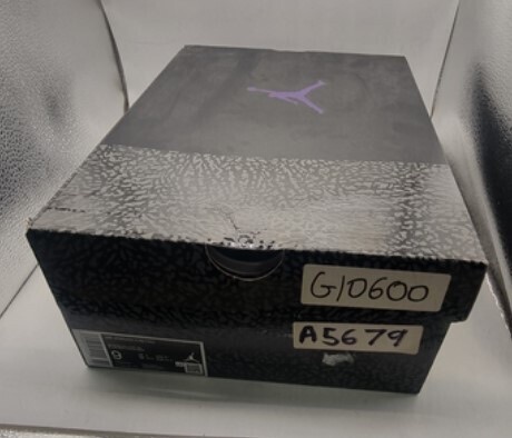Air Jordan 3 Dark Iris (2022) photo 7