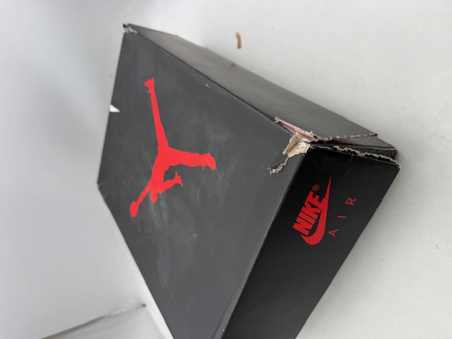 Air Jordan 3 OG 'Fire Red' (2022) photo 10