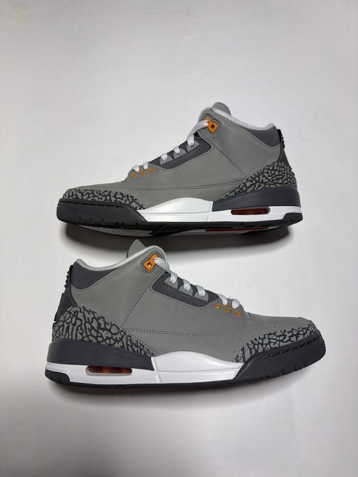 Air Jordan 3 Retro Cool Grey (2021)