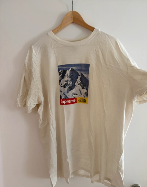 Supreme x The North Face Mountains Tee White (FW21)