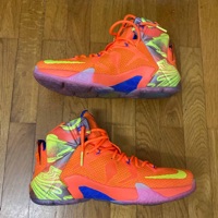 Nike LeBron XII 12 'Six Meridians' (2014) photo 2