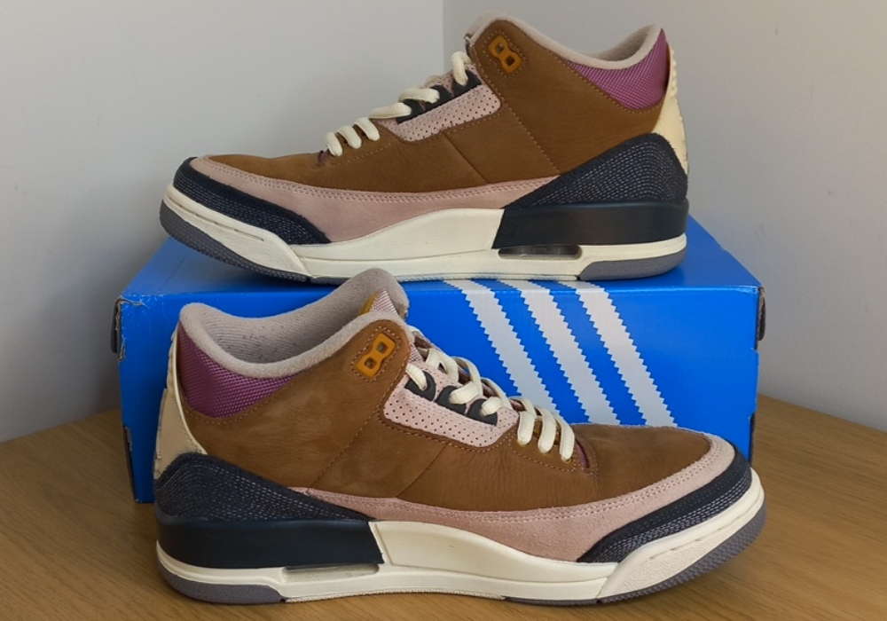 Air Jordan 3 Winterised Archeo Brown (2022) photo 2