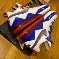 Nike LeBron 17 Low Tune Squad (2020) photo 9