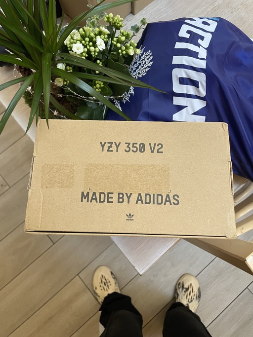 Yeezy Boost 350 V2 'Sesame'