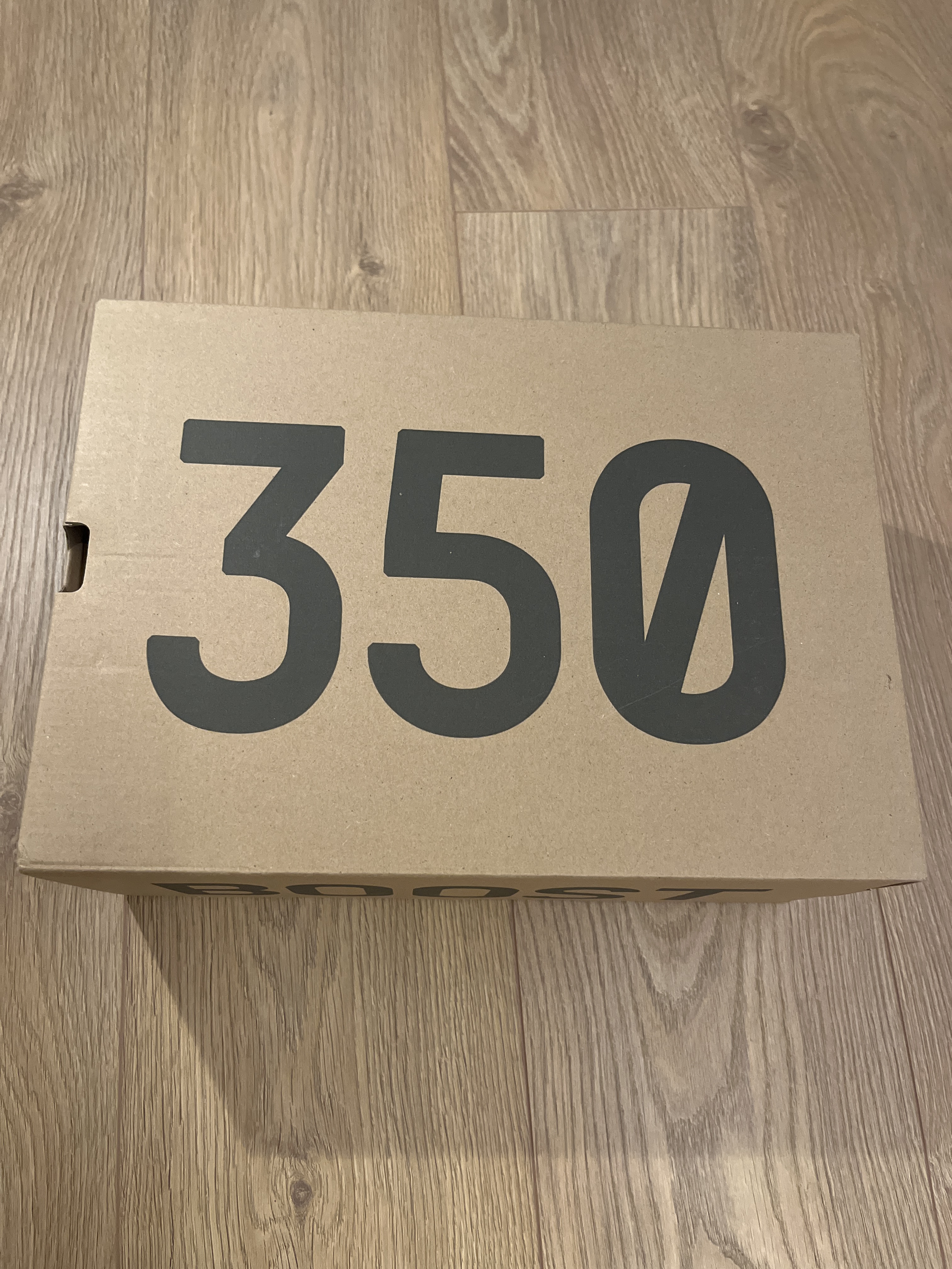 Yeezy Boost 350 V2 'Oreo' photo 5