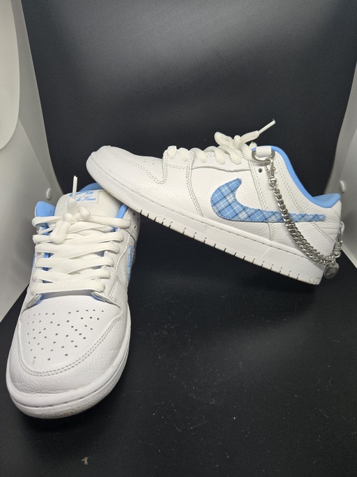 Nike SB x Nicole Hause Dunk Low (2024)