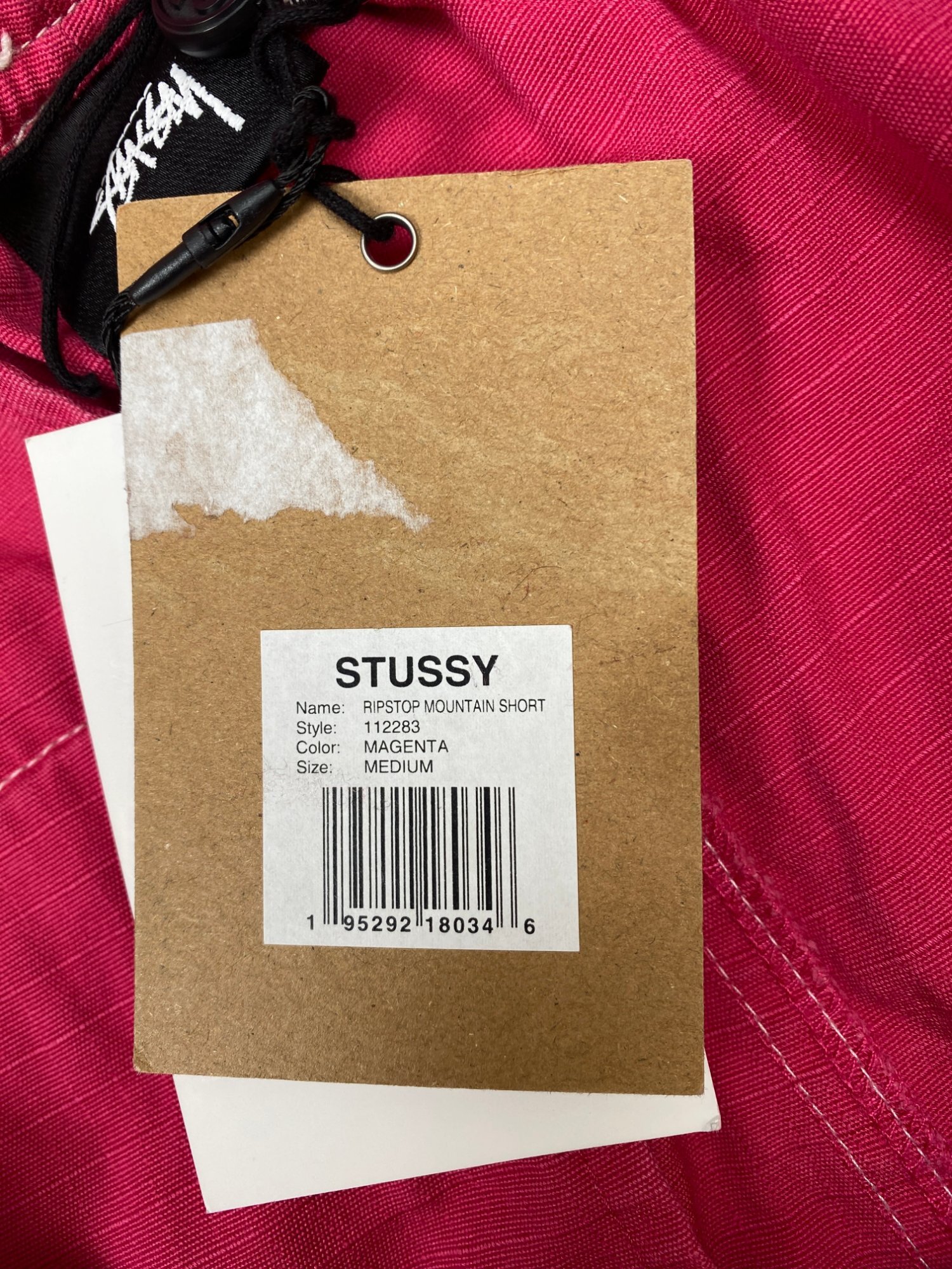 Stussy Ripstop Mountain Short photo 5