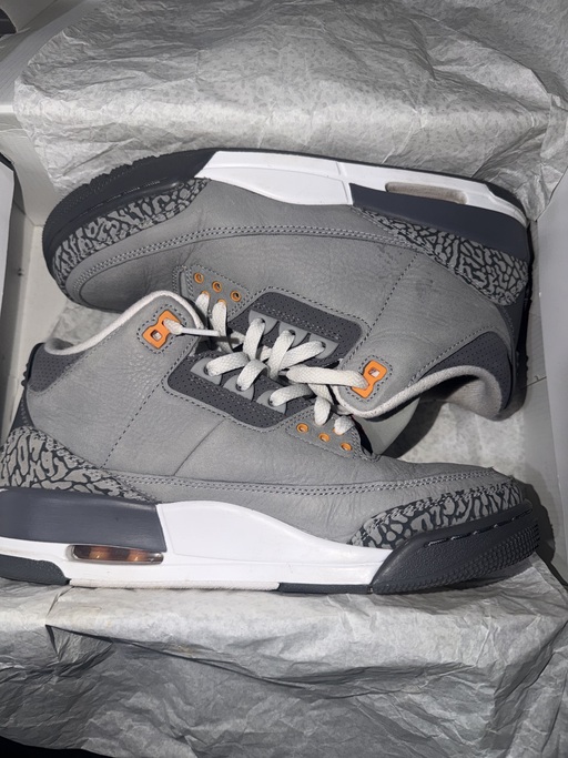 Air Jordan 3 Retro Cool Grey (2021)
