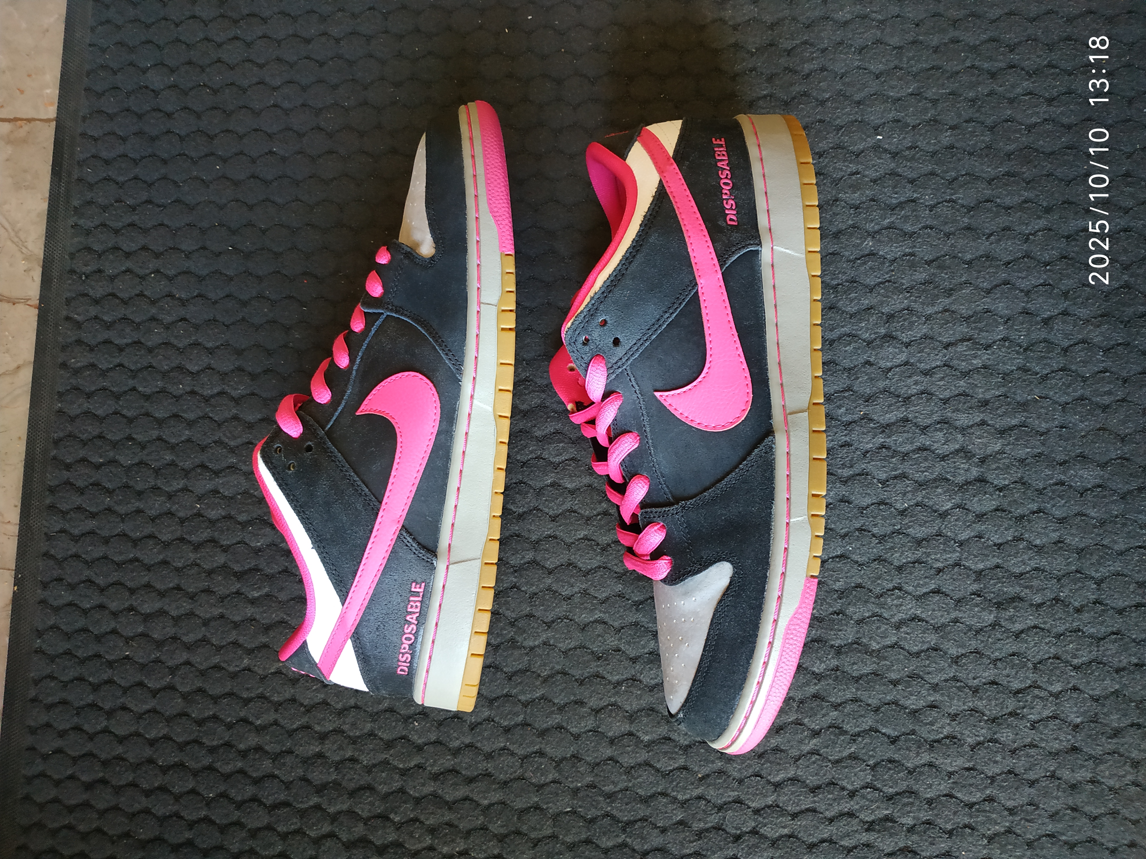 Nike Dunk SB Low Disposable photo 1