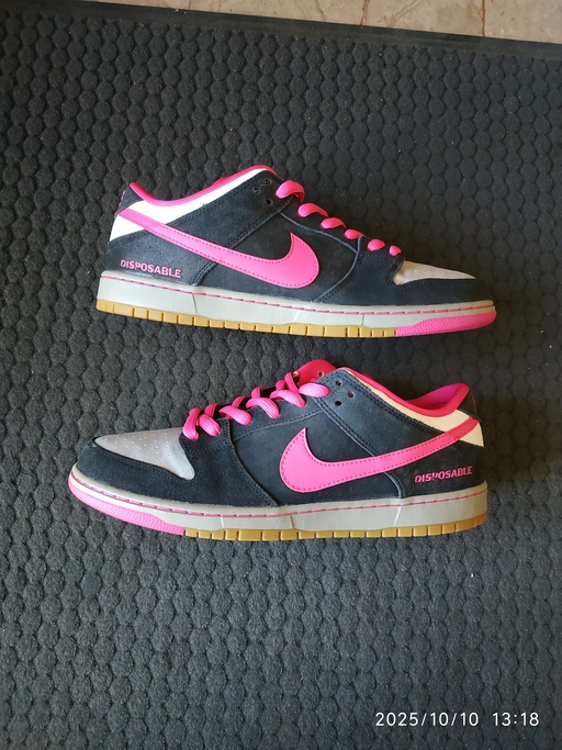 Nike Dunk SB Low Disposable
