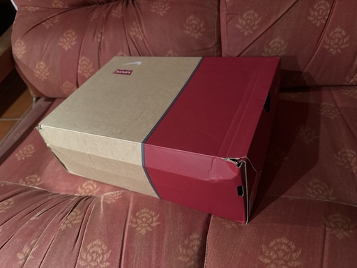 Nike x Levi’s Air Max 95 'Black' (2025)