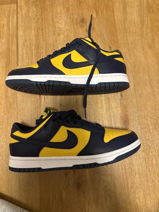 Nike Dunk Low 'Michigan' (2021)