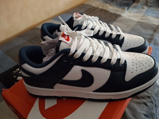 Nike Dunk Low 'Valerian Blue'