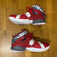 Nike Lebron Soldier 9 PRM Ohio State Buckeyes photo 2