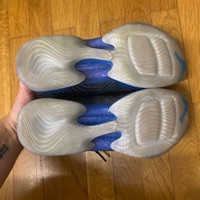 Air Jordan 29 'Playoff Pack Away' photo 5