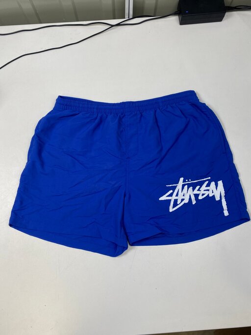 Stussy Big Basic Water Shorts