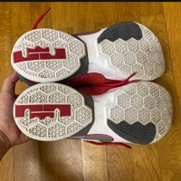Nike Lebron Soldier 9 PRM Ohio State Buckeyes photo 5