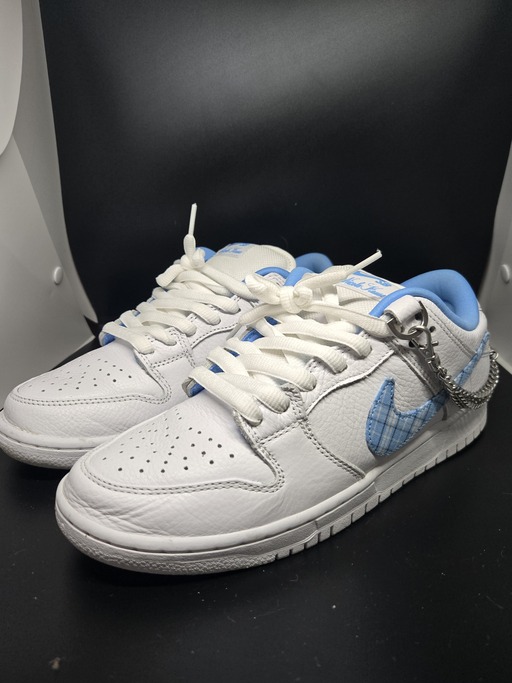 Nike SB x Nicole Hause Dunk Low (2024)