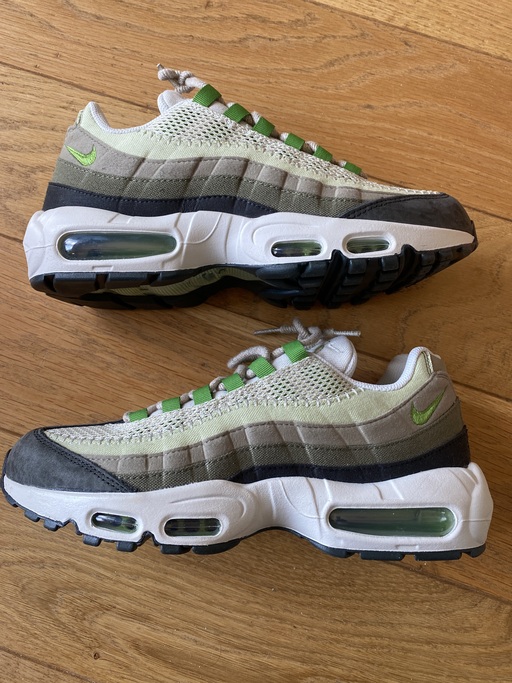 Nike Air Max 95 WMNS Earth Day (2022)