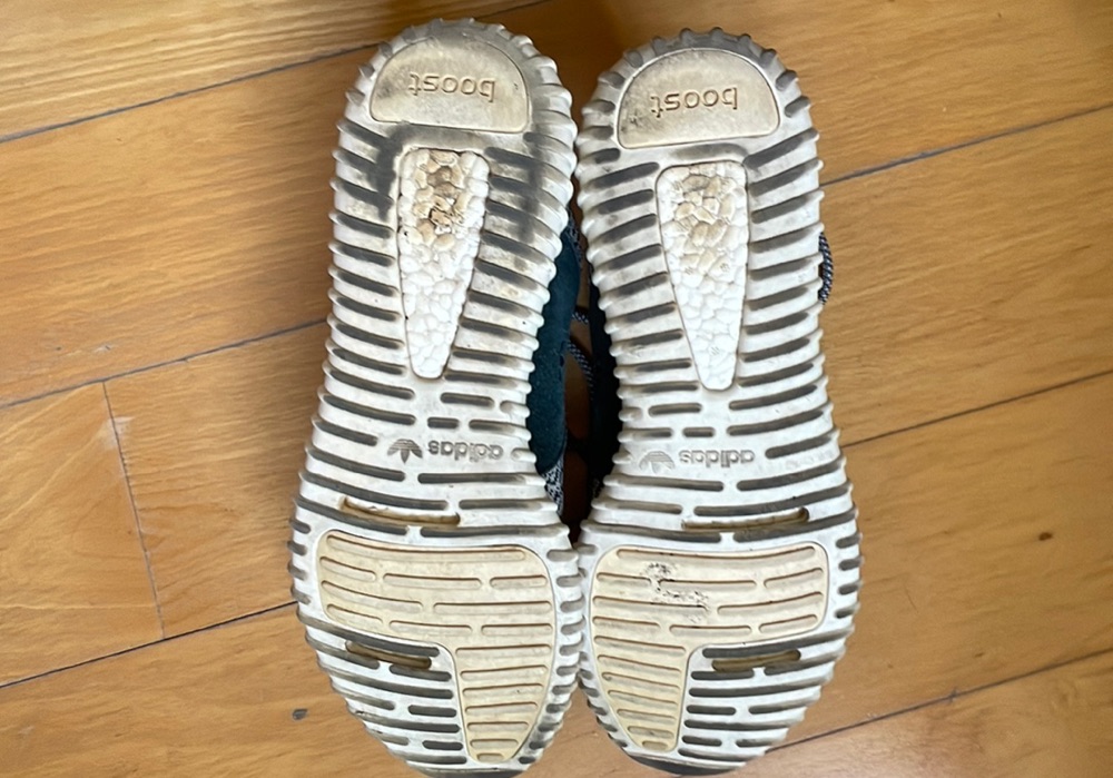 Yeezy Boost 350 'Turtle Dove' (2015) photo 5